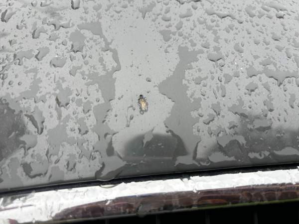 Seat Leon Рованиеми - изображение 8