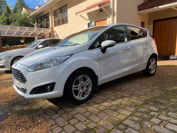 Ford Fiesta Раума - изображение 1