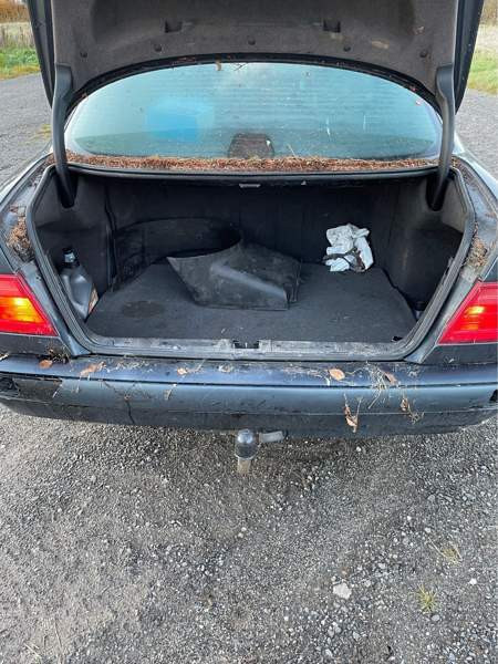 Mercedes-Benz 220 Lapua - изображение 5