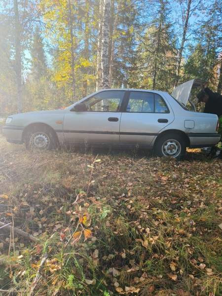 Nissan Sunny Kifri – foto 3