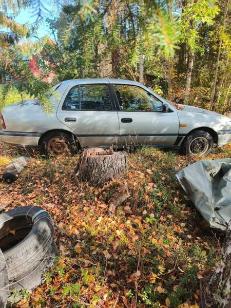 Nissan Sunny Kifri – foto 2