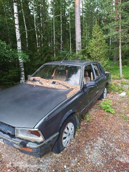 Peugeot 505 Laensi-Turunmaa - изображение 2