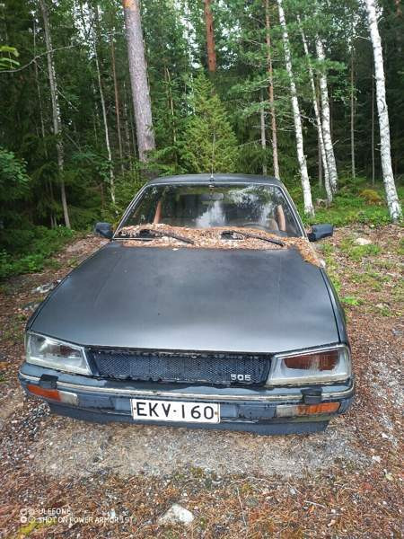 Peugeot 505 Laensi-Turunmaa - изображение 3