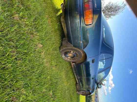 Toyota Camry Kurikka