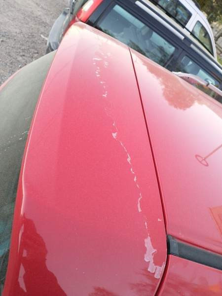 Honda Accord Punkalaidun - valokuva 3