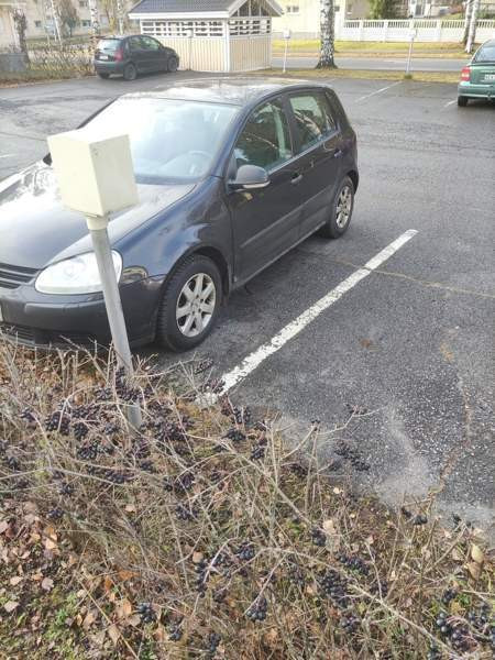 Volkswagen Golf Mikkeli - valokuva 1