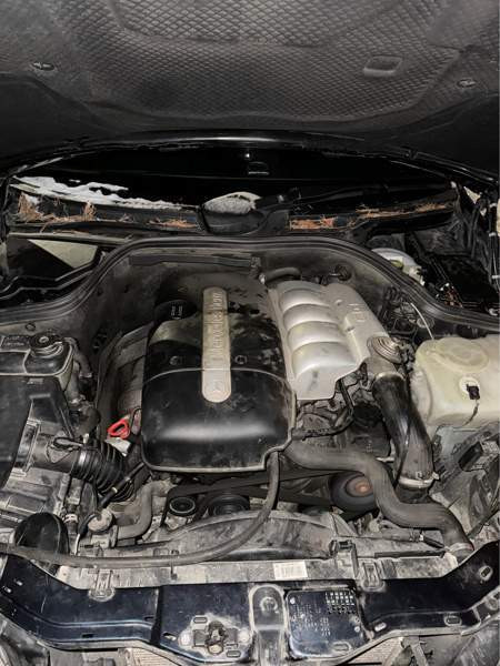 Mercedes-Benz 220 Kuusamo - valokuva 2