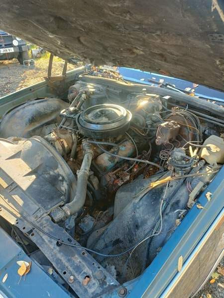 Chevrolet Caprice Rovaniemi - valokuva 4