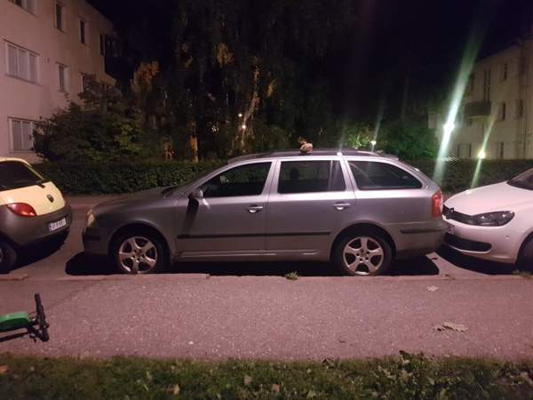 Skoda Octavia Helsinki - photo 1