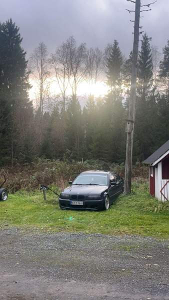 BMW 318 Muhos – foto 5