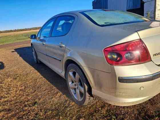 Peugeot 407 Kurikka
