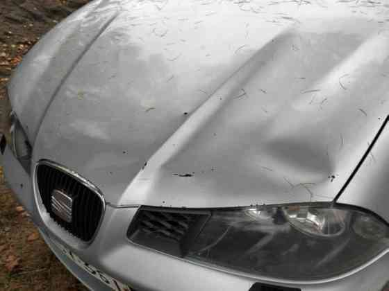 Seat Ibiza Миккели