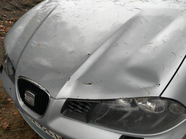 Seat Ibiza Миккели - изображение 4