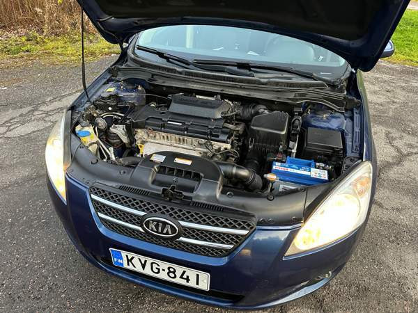 Kia Ceed Глебычево - изображение 6