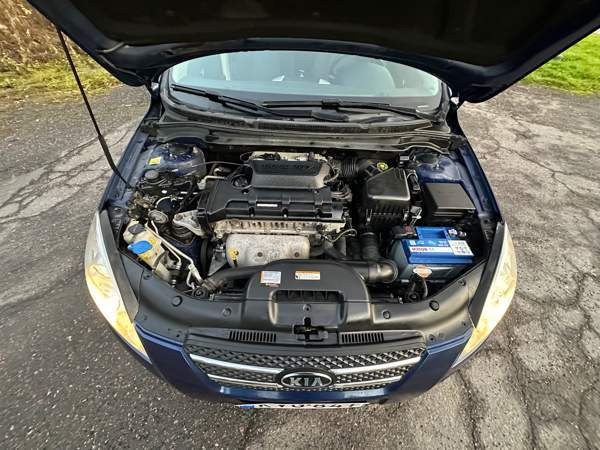 Kia Ceed Глебычево - изображение 8