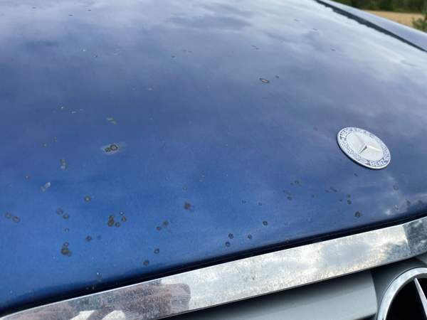 Mercedes-Benz C Damascus Governorate - photo 8