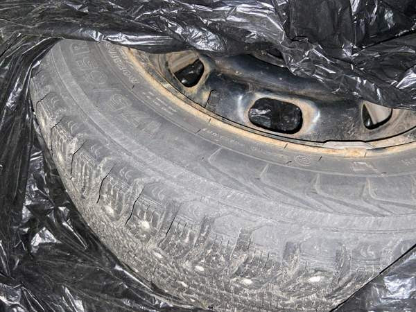 Volkswagen Golf Turtkul - photo 8