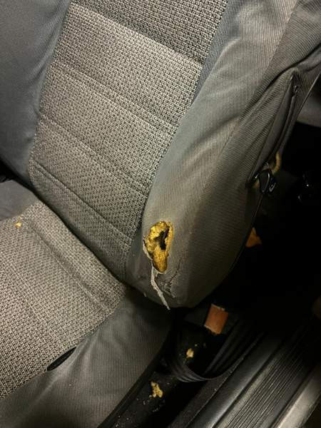 Honda Civic Куопио - изображение 6