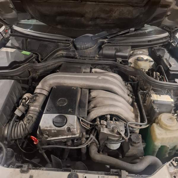 Mercedes-Benz E Lovisa – foto 7