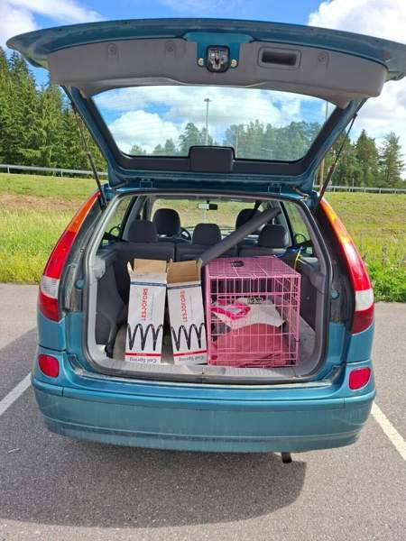 Nissan Almera Tino Vihti - photo 6