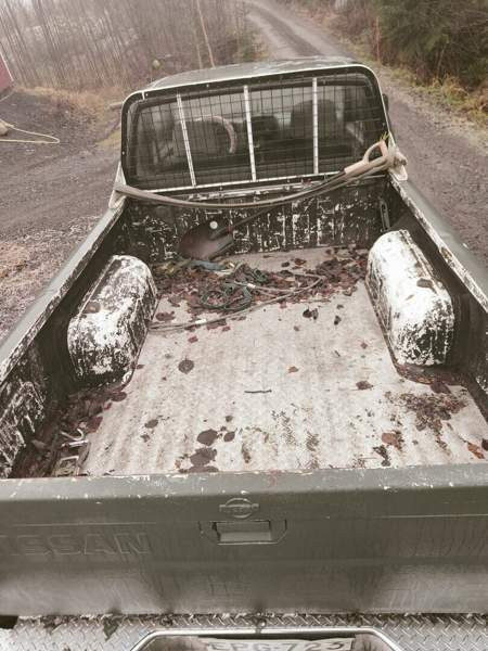 Nissan King Cab Миккели - изображение 5