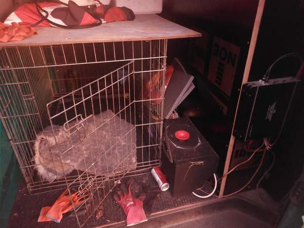 Volkswagen Transporter Lieksa - valokuva 6