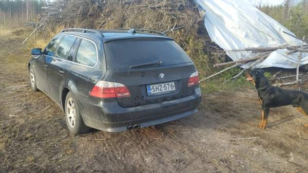 BMW 525 Alavus - valokuva 3