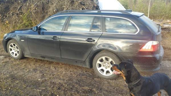 BMW 525 Alavus - valokuva 4