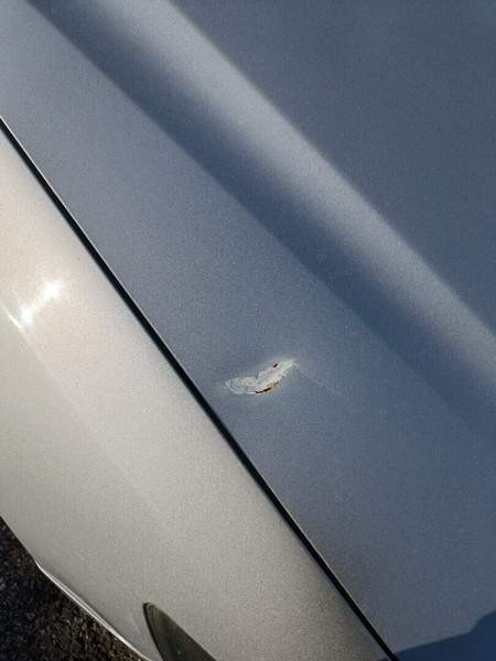 Honda Accord Рахе - изображение 4