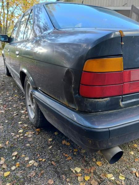 BMW 535 Луга - изображение 3