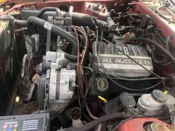 Ford Thunderbird Raasepori