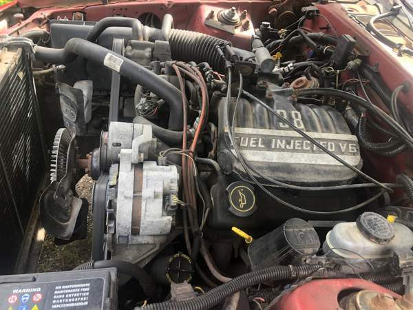 Ford Thunderbird Raasepori – foto 6