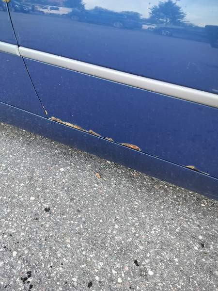 BMW 325 Glebychevo - photo 7