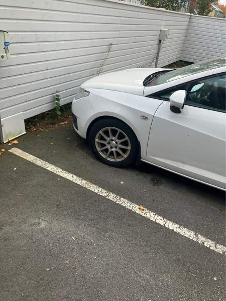 Seat Ibiza Турткуль - изображение 5