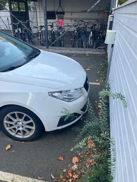 Seat Ibiza Турткуль - изображение 2