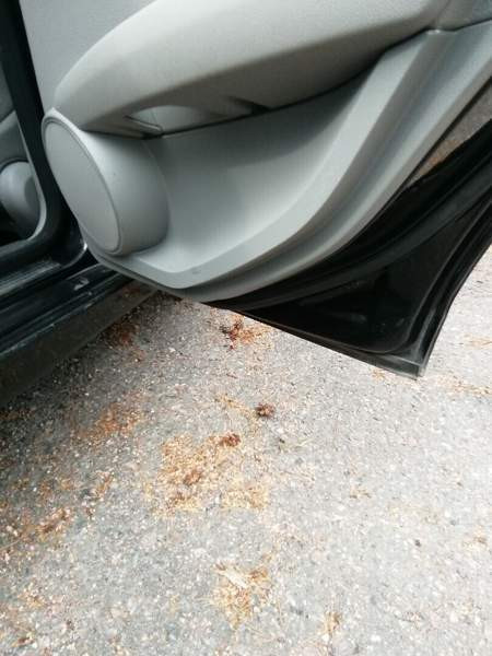 Mercedes-Benz C Kauniainen - изображение 8