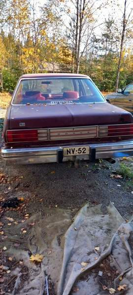 Dodge Aspen Луга - изображение 3