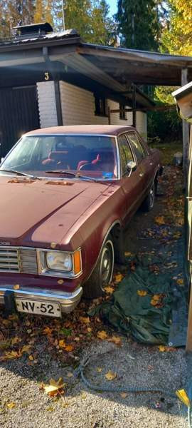 Dodge Aspen Луга - изображение 2