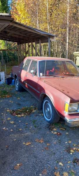 Dodge Aspen Луга - изображение 6