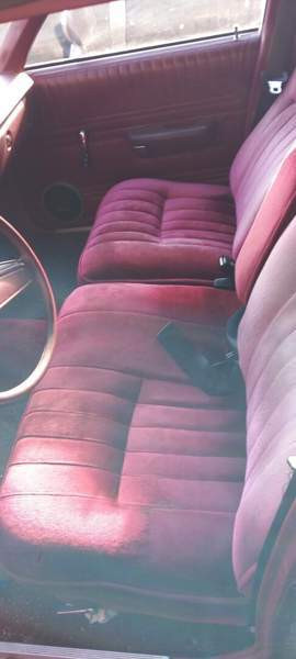 Dodge Aspen Луга - изображение 4