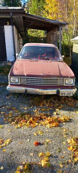 Dodge Aspen Луга - изображение 1