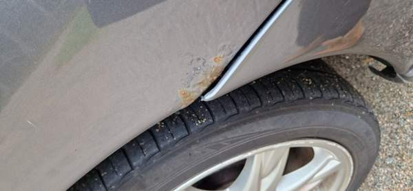 Volvo V70 Bolu – foto 6