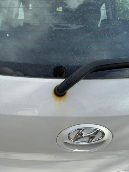 Hyundai i20 Lieto - photo 7