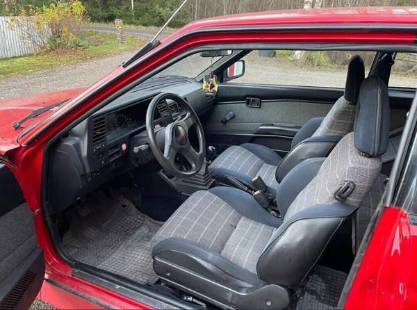 Nissan Sunny Раума - изображение 2