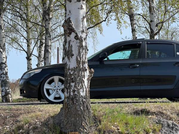 BMW 530 Tervajoki – foto 4