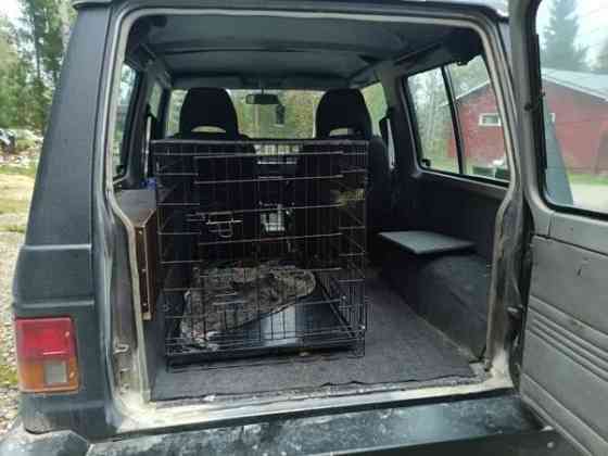 Mitsubishi Pajero Tervola