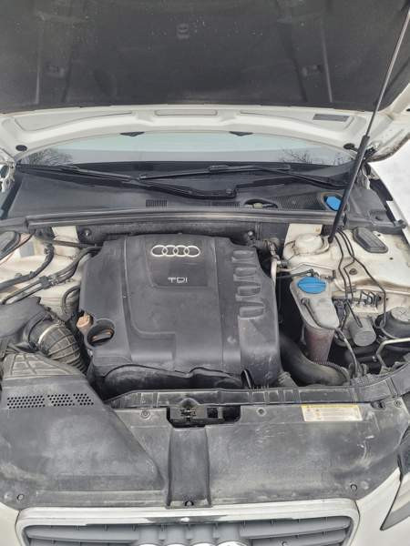 Audi A4 Macau - valokuva 8