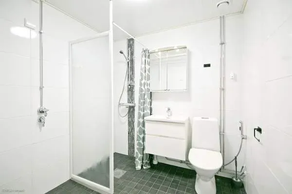 3h + p + k + at + lasp Вааса - изображение 7