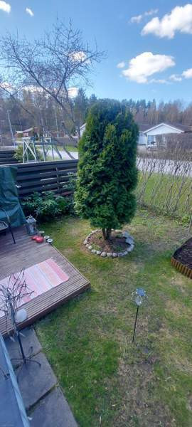 2h + k + s + iso vaatehuone  Glebychevo - photo 8