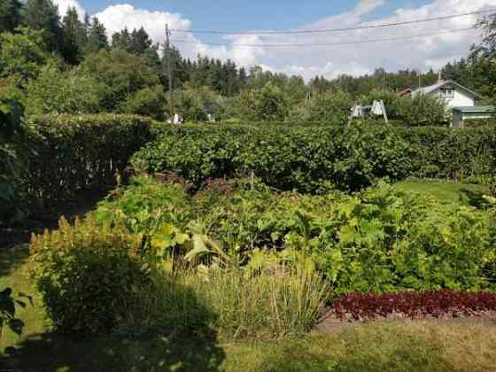 2h + s  Chukotskiy Avtonomnyy Okrug